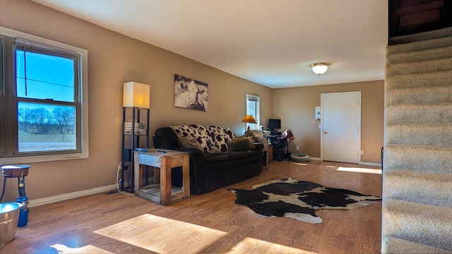 living room with hardwood / wood-style flooring