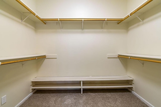 spacious closet featuring carpet flooring