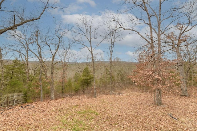 view of local wilderness