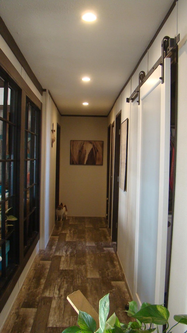 hallway featuring dark wood-type flooring and a barn door