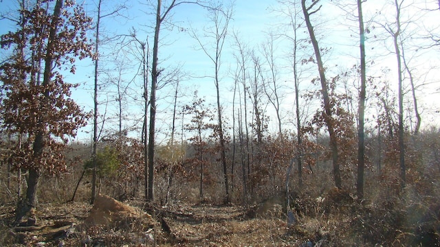 view of landscape