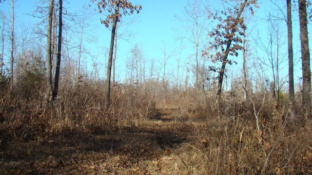 view of landscape