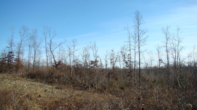 view of local wilderness