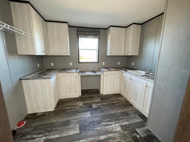 kitchen featuring dark hardwood / wood-style flooring and sink