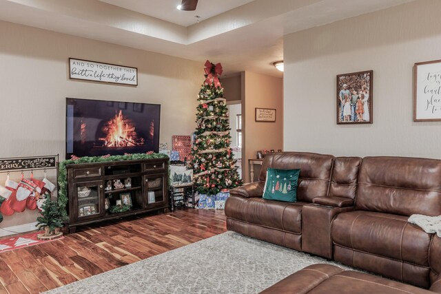 living room featuring wood finished floors