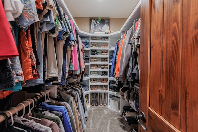 walk in closet with carpet floors