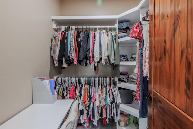 spacious closet featuring carpet flooring