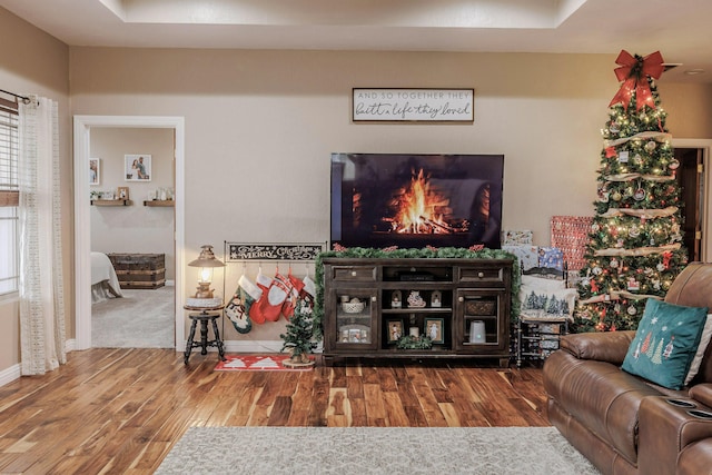 living room with wood finished floors and baseboards