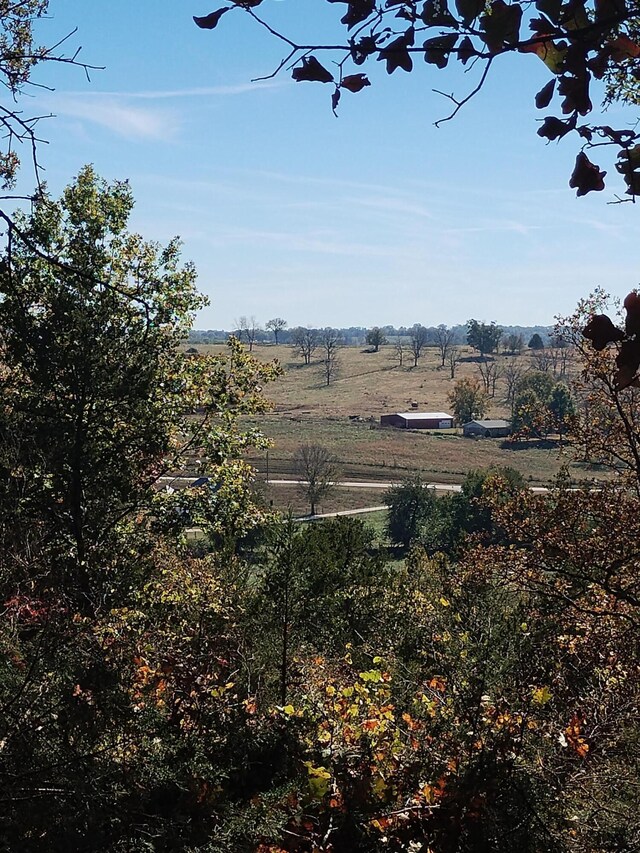 357 E Rolla St, Hartville, MO 65667 - photo 4
