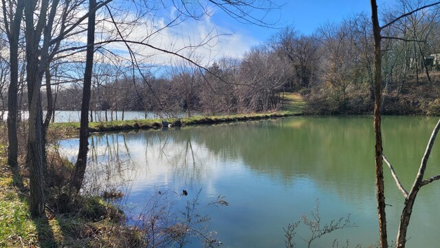 357 E Rolla St, Hartville, MO 65667 - photo 20