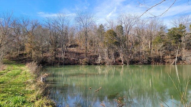 357 E Rolla St, Hartville, MO 65667 - photo 21