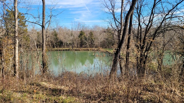 357 E Rolla St, Hartville, MO 65667 - photo 22