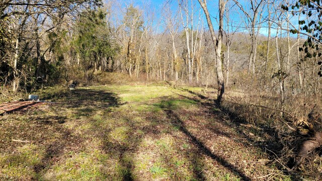 357 E Rolla St, Hartville, MO 65667 - photo 26
