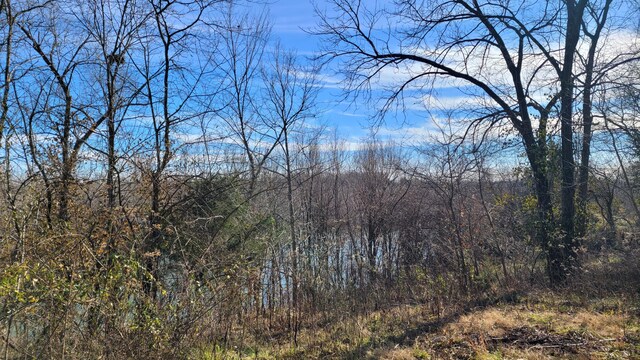 357 E Rolla St, Hartville, MO 65667 - photo 23