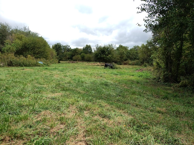 357 E Rolla St, Hartville, MO 65667 - photo 25