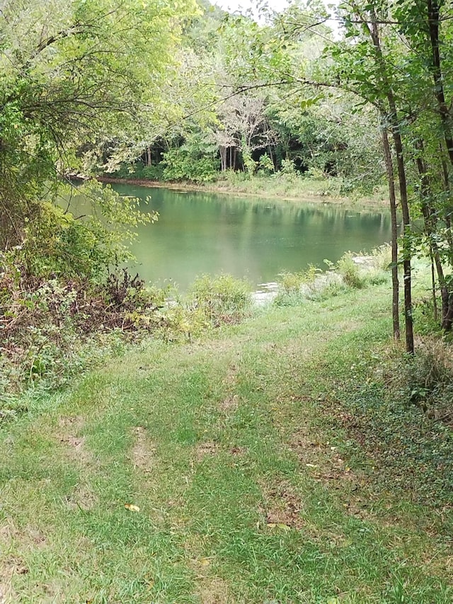 357 E Rolla St, Hartville, MO 65667 - photo 33