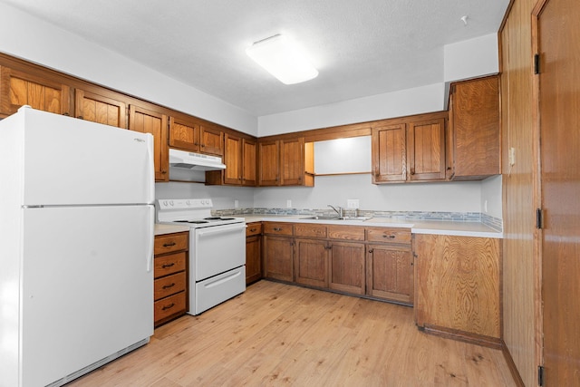 127 N Walnut St, Blue Eye, MO 65611 - kitchen with white appliances, under cabinet range hood, brown cabinets, and light wood finished floors