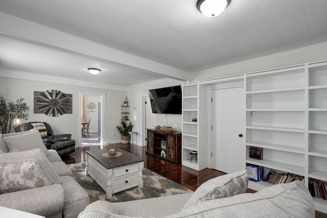 living area with dark wood-type flooring