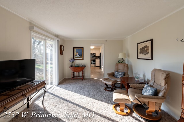 carpeted living room featuring a textured ceiling and crown molding