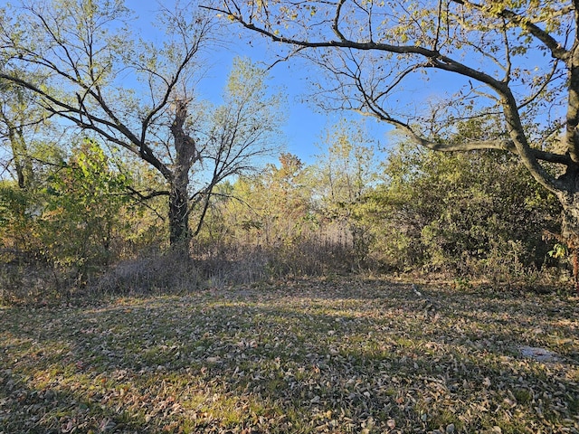 402 3rd St, Wentworth MO, 64873 land for sale