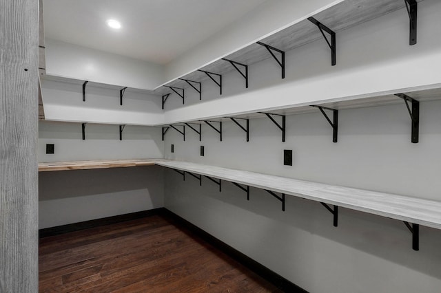 spacious closet featuring dark wood-type flooring and electric panel