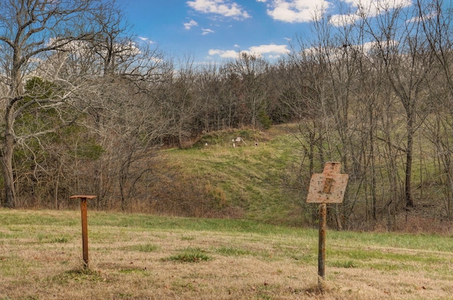 view of yard with a wooded view