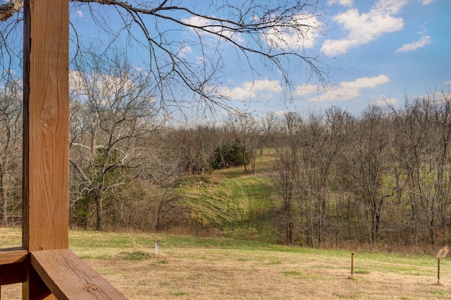 view of yard with a forest view