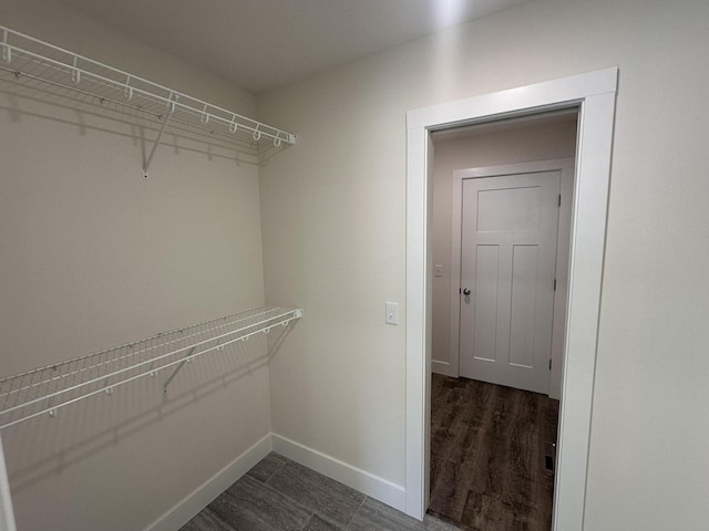 walk in closet featuring dark hardwood / wood-style flooring