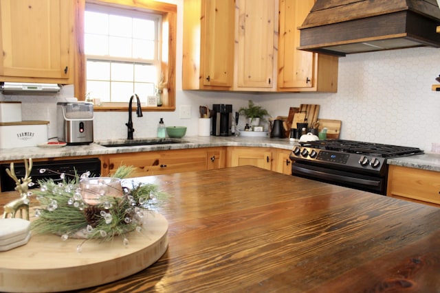 kitchen featuring sink, stainless steel range, backsplash, dishwashing machine, and custom exhaust hood