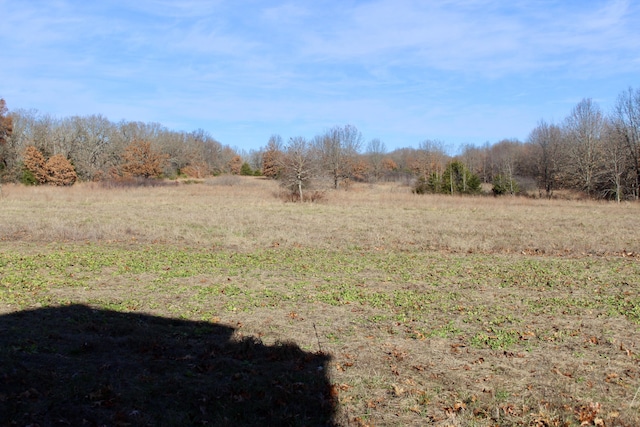 view of yard featuring a rural view