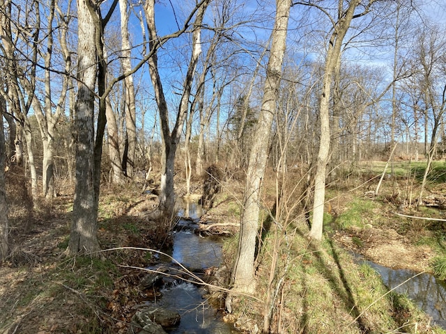 view of local wilderness