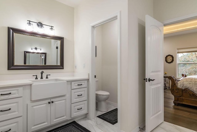 bathroom featuring vanity, wood-type flooring, and toilet