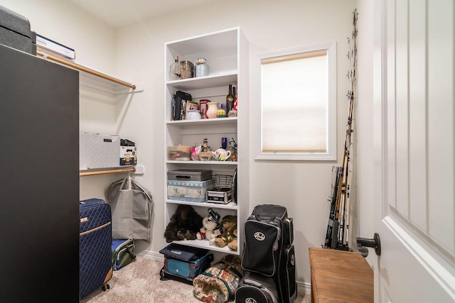 walk in closet with carpet flooring