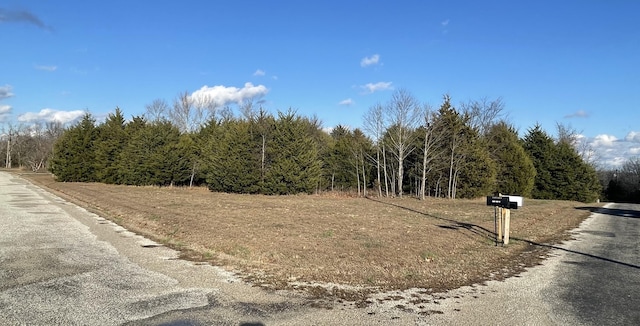 000 Robin Dr, Golden MO, 65658 land for sale