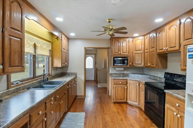 kitchen featuring sink, electric range, ceiling fan, a textured ceiling, and light hardwood / wood-style floors