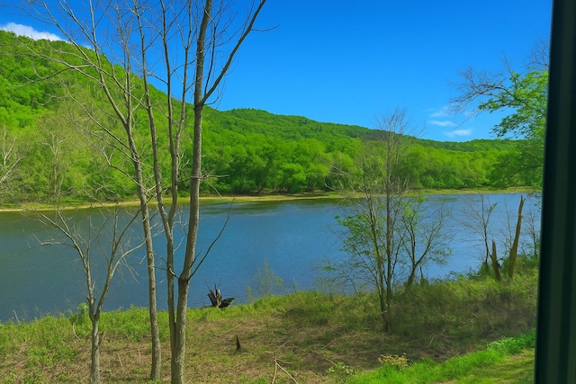 366 Wimbledon Dr Unit 10, Branson, MO 65616 - water view featuring a heavily wooded area