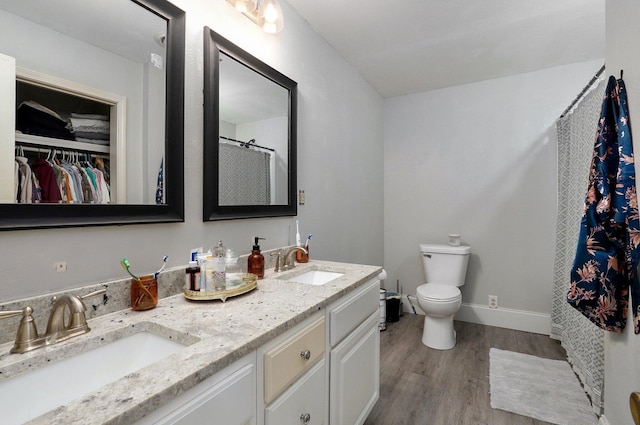 bathroom with wood-type flooring, vanity, and toilet