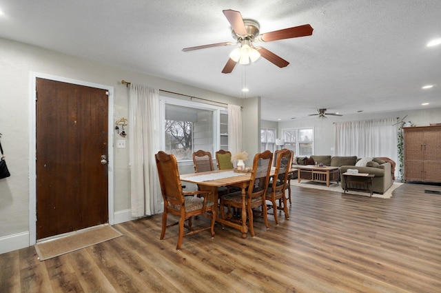 dining room featuring ceiling fan, dark hardwood / wood-style flooring, and a textured ceiling