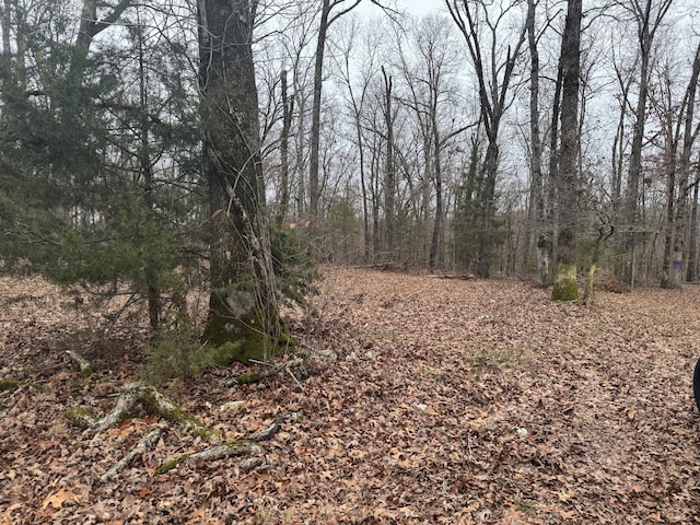 Listing photo 2 for Lot1 Waterfront 1, Shell Knob MO 65747