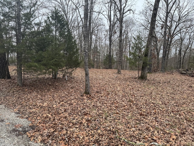 Listing photo 3 for Lot1 Waterfront 1, Shell Knob MO 65747