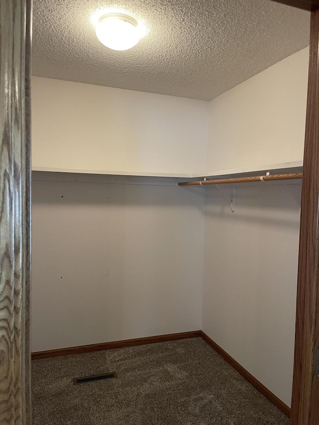 spacious closet with carpet floors