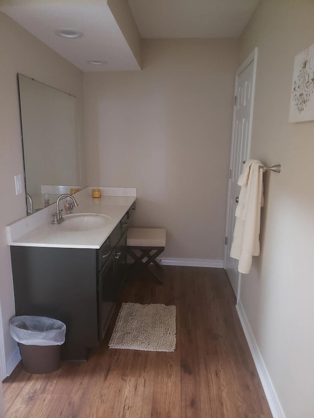 bathroom featuring hardwood / wood-style flooring and vanity