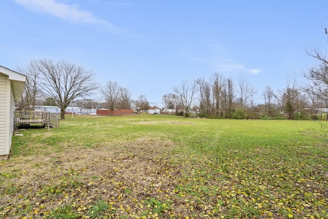 view of yard