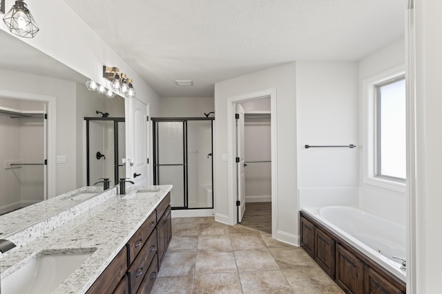 bathroom featuring vanity and independent shower and bath