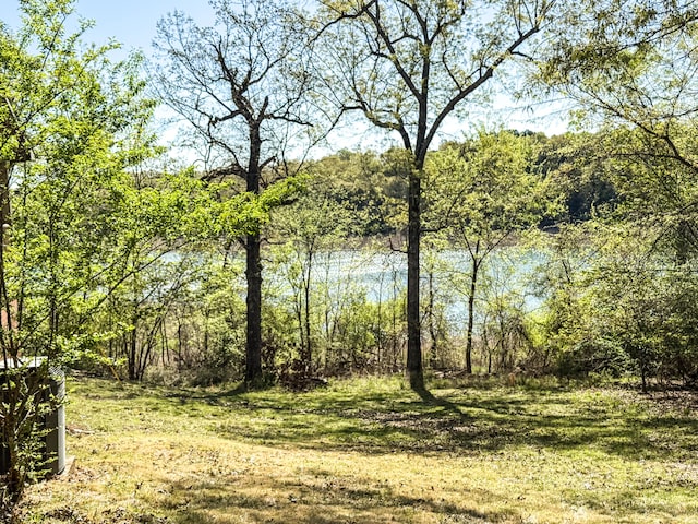 223 Mc 8015, Peel, AR 72668 - photo 5