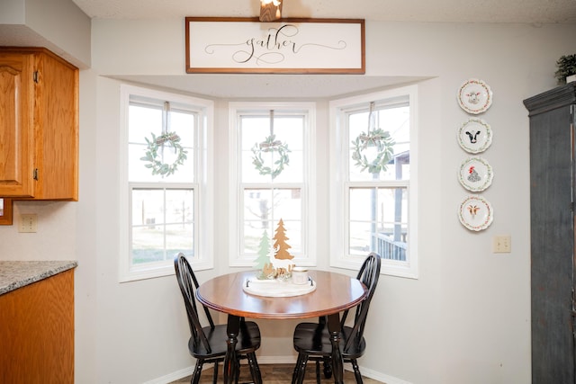 dining room featuring plenty of natural light