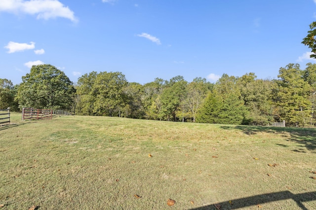 view of yard with a rural view