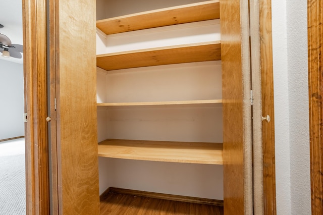 1204 Lake Road Dr, Cassville, MO 65625 - view of closet