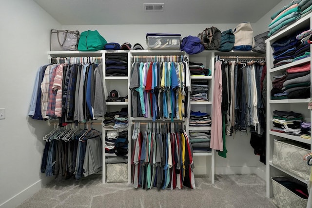 walk in closet featuring carpet floors