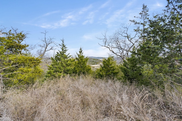 Listing photo 3 for LOT1 Kirkland Dr, Branson MO 65616